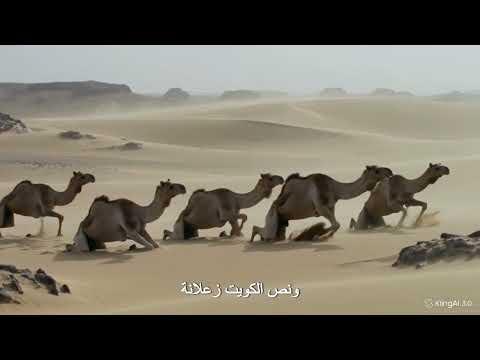 ظبطني