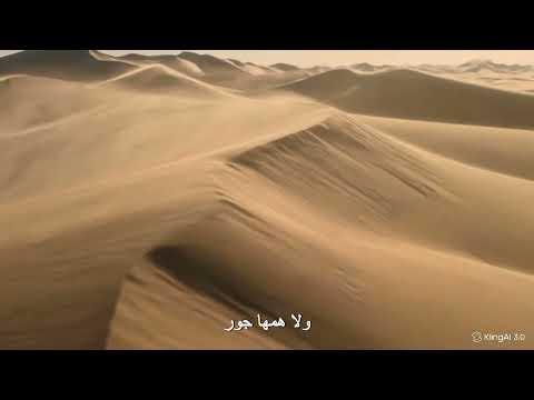 إلى سعادة السفير