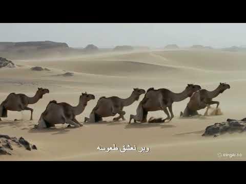 حُــــوُسَـه