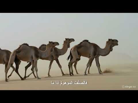 رُجُّوا الأرض
