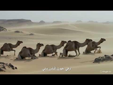 عمري صحرا