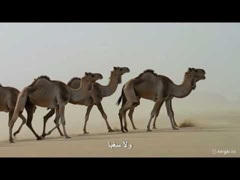 النـاطــور !!