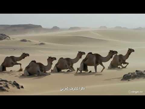 الغوطَةُ